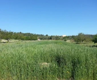 Venta Casas Rústicas Porreres
