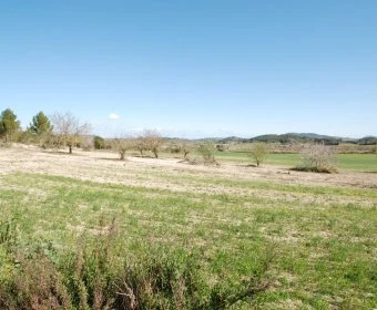 Venta Casas Rústicas Porreres