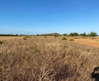 Venta Terrenos Porreres