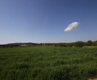 Venta Terrenos Porreres