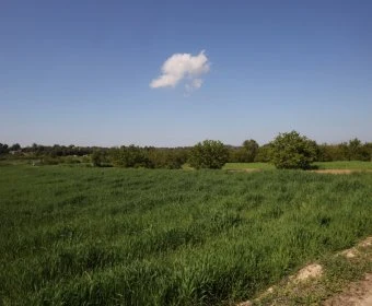 Venta Terrenos Porreres