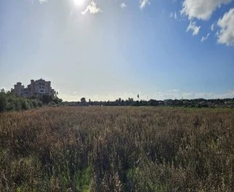 Venta Terrenos Sant Llorenç des Cardassar