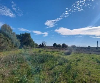 Venta Terrenos Sillot