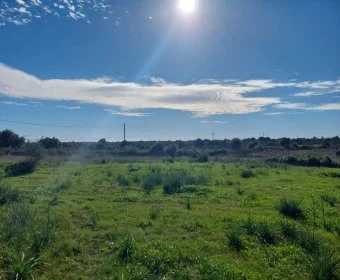 Venta Terrenos Sillot