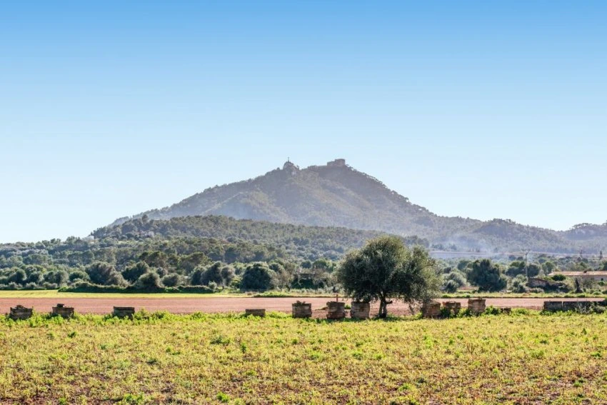 Venta Casas Rústicas Felanitx