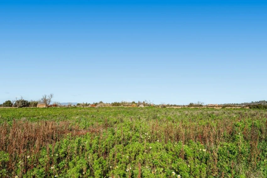 Venta Casas Rústicas Felanitx