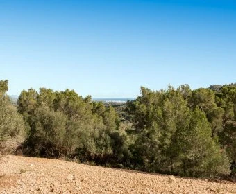 Sale Rustic houses Manacor