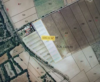 Venta Terrenos Manacor