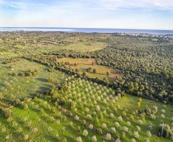 Sale Rustic houses Porto Cristo