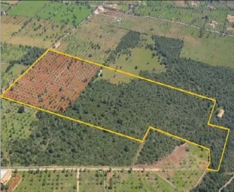 Sale Rustic houses Porto Cristo