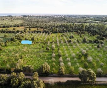 Sale Rustic houses Porto Cristo