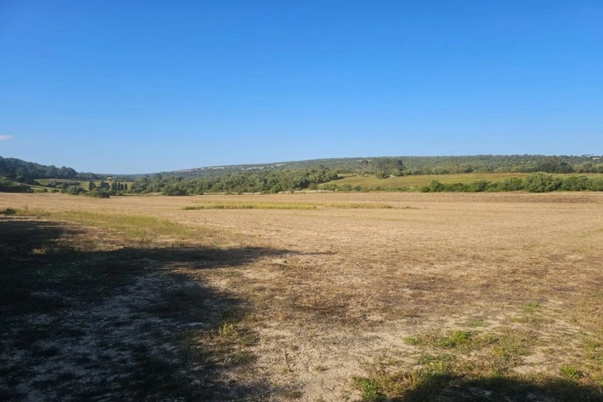 Venta Terrenos Manacor