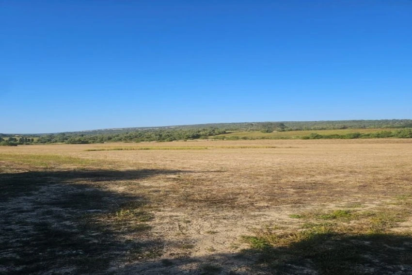 Venta Terrenos Manacor