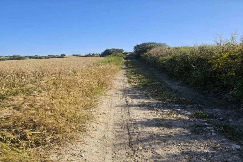 Venta Terrenos Manacor