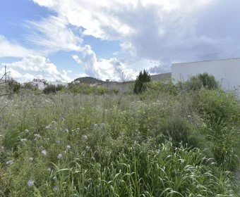 Sale Urban solar Felanitx