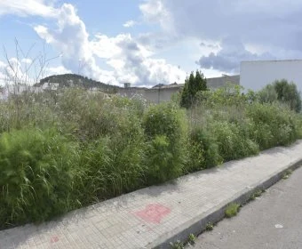 Sale Urban solar Felanitx