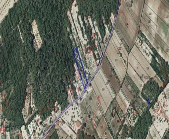 Sale Lands Sant Joan