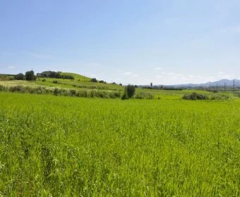 Sale Rustic houses Petra