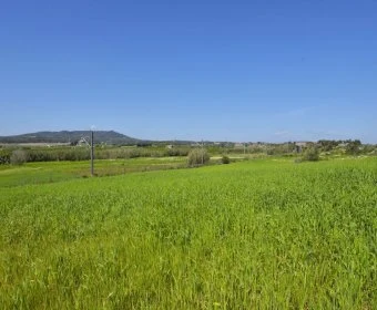 Sale Rustic houses Petra