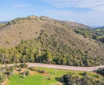 Venta Terrenos Canyamel