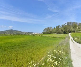 Verkauf landet Vilafranca de Bonany
