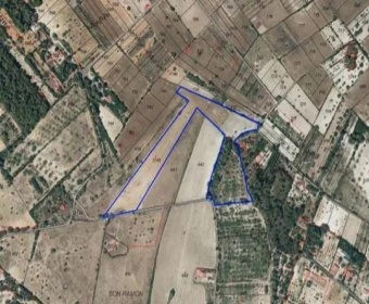 Verkauf landet Vilafranca de Bonany