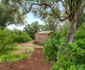 Venta Terrenos Felanitx