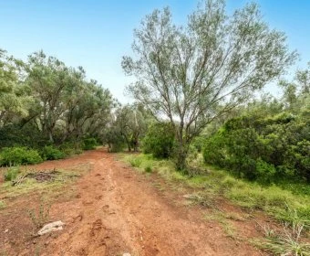 Venta Terrenos Felanitx