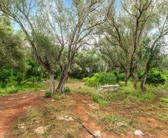 Venta Terrenos Felanitx