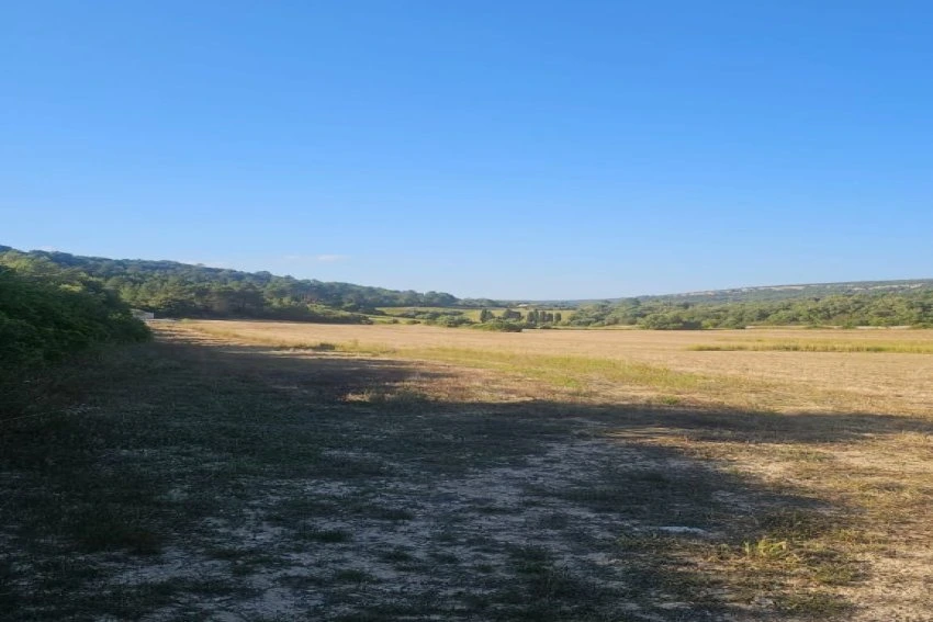 Venta Terrenos Manacor