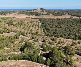 Venta Terrenos Sant Llorenç des Cardassar