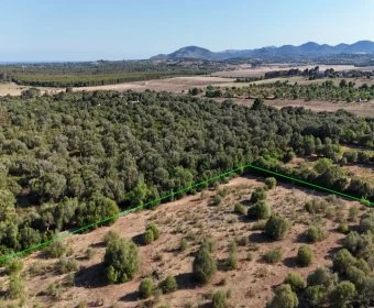 Venta Terrenos Sant Llorenç des Cardassar