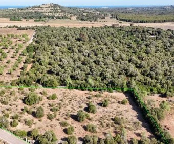 Venta Terrenos Sant Llorenç des Cardassar