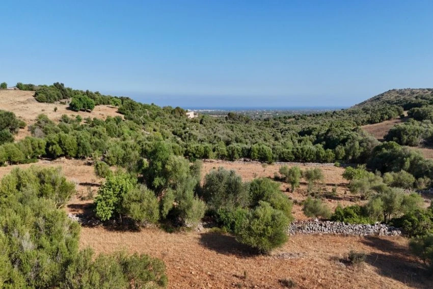 Venta Terrenos Sant Llorenç des Cardassar