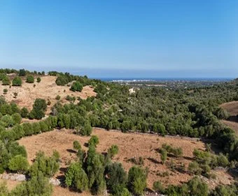 Venta Terrenos Sant Llorenç des Cardassar