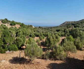 Venta Terrenos Sant Llorenç des Cardassar
