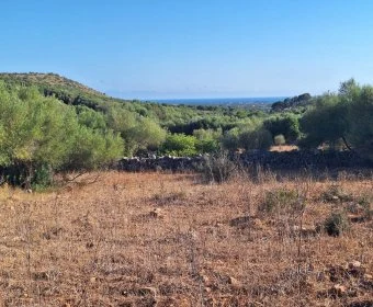 Venta Terrenos Sant Llorenç des Cardassar