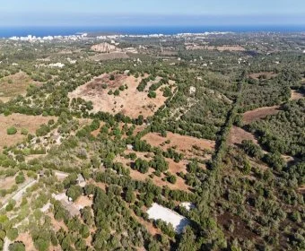 Venta Terrenos Sant Llorenç des Cardassar