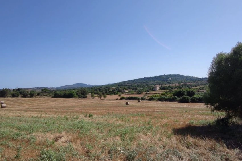 Venta Terrenos Manacor