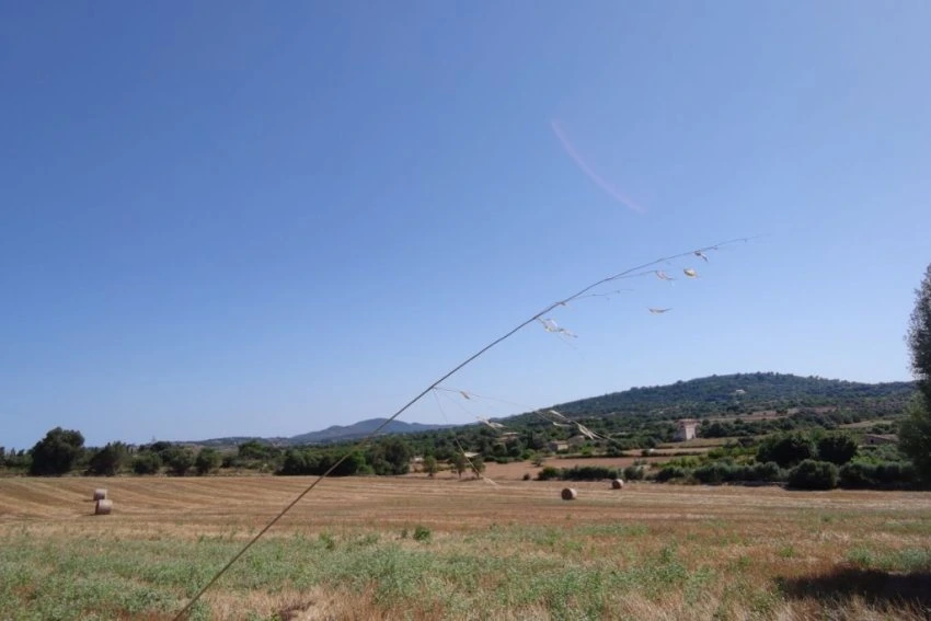 Venta Terrenos Manacor