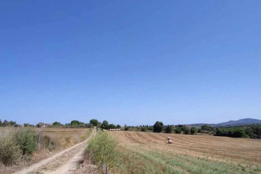 Venta Terrenos Manacor