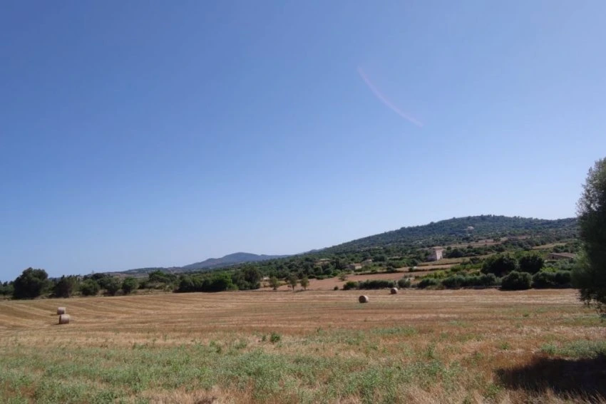 Venta Terrenos Manacor