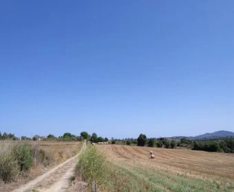 Venta Terrenos Manacor