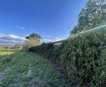 Sale Rustic houses Manacor