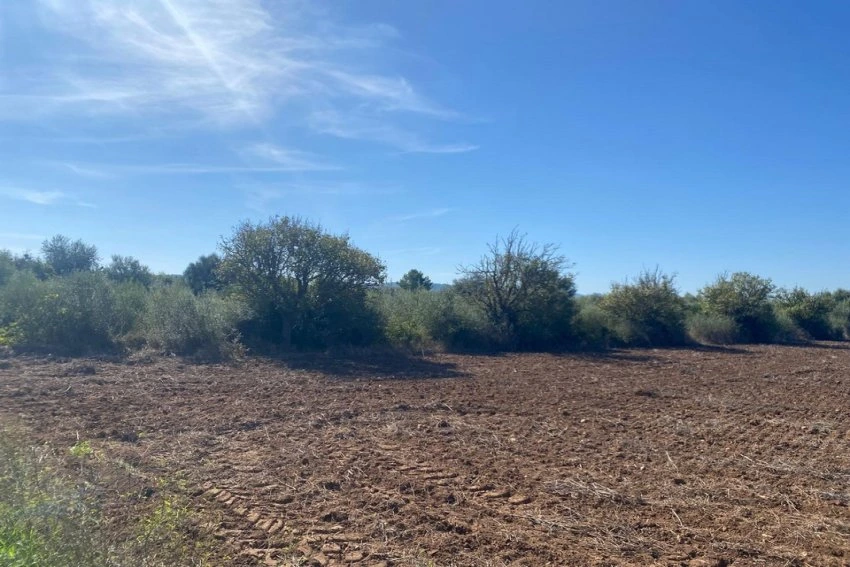 Venta Terrenos Manacor