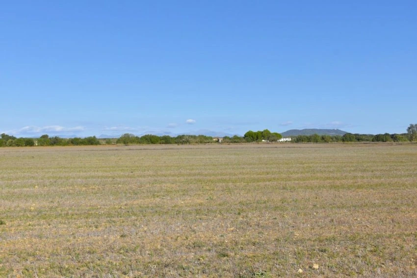 Venta Terrenos Felanitx