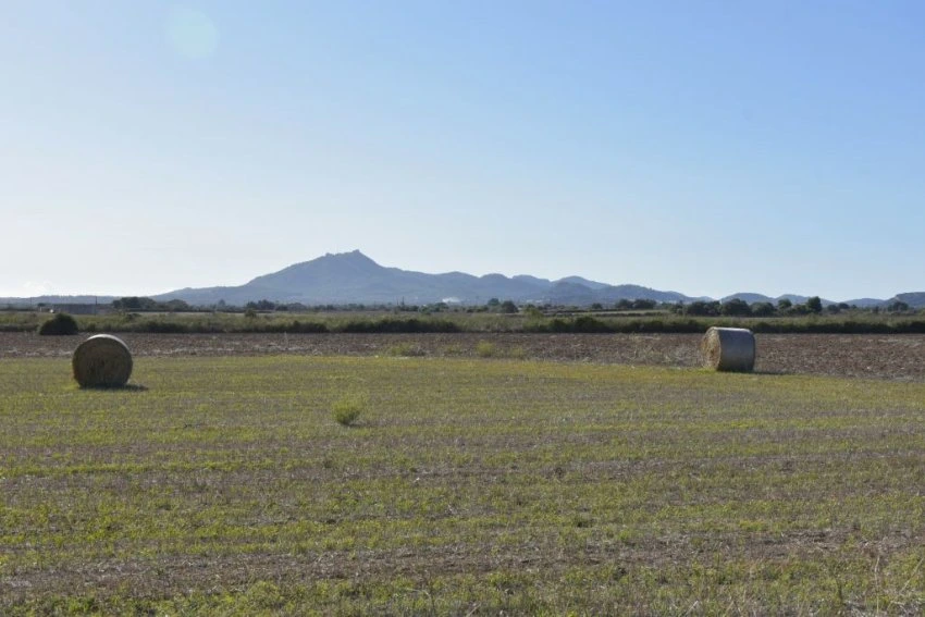 Venta Terrenos Felanitx
