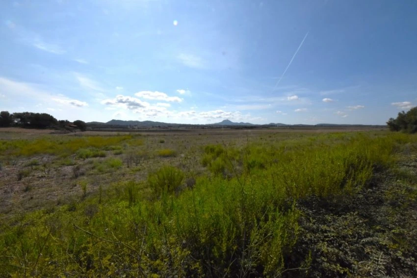 Venta Terrenos Manacor