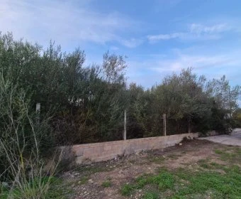 Venta Terrenos Sant Llorenç des Cardassar