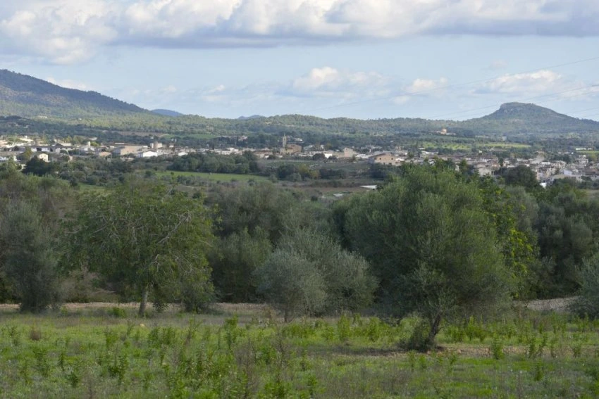Venta Terrenos Sant Llorenç des Cardassar